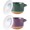 imageAmorArc 24 Ounces Soup Bowls with Large Handles and Lids Stoneware Bowls Set of 4 for SoupStew Noodle Ceramic Kitchen Bowls With Embossed Patterns MicrowaveampampDishwasher Safe Light BeigeGreenPurple
