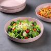imageAmorArc 875 Large Ceramic Pasta Bowls 36oz Handpainted Stoneware Bowls Set of 4 MicrowaveampampDishwasher Safe Bowls with Rustic Terracotta Underside for Pasta Salad MultiColorCloud Pink