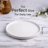 imageAmorArc Ceramic Dinner Plates Set of 6 100 Inch Matte Stoneware Plates for KitchenModern Flat Dinnerware Dishes SetMicrowaveampamp Dishwasher Safe Scratch Resistant Matte BlackMatte White