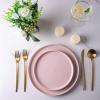 imageAmorArc Ceramic Dinner Plates Set of 6 100 Inch Matte Stoneware Plates for KitchenModern Flat Dinnerware Dishes SetMicrowaveampamp Dishwasher Safe Scratch Resistant Matte BlackMatte Pink