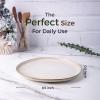 imageAmorArc Ceramic Dinner Plates Set of 6 105 Inch Handmade Reactive Glaze Stoneware PlatesLarge Rustic Shape Dinnerware Dish Set for Kitchen Microwave ampamp Dishwasher SafeScratch ResistantPearl WhiteCappuccino