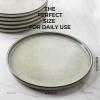 imageAmorArc Dinner Plates Set of 6 105 Inch Reactive Glaze Ceramic Plates Set Microwave Dishwasher Safe Scratch Resistant Modern Large Dinnerware Dishes Set Kitchen Stoneware PlatesReactive Glaze
