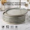imageAmorArc Dinner Plates Set of 6 105 Inch Reactive Glaze Ceramic Plates Set Microwave Dishwasher Safe Scratch Resistant Modern Large Dinnerware Dishes Set Kitchen Stoneware PlatesReactive Glaze