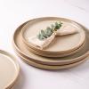 imageAmorArc Dinner Plates Set of 6 105 Inch Reactive Glaze Ceramic Plates Set Microwave Dishwasher Safe Scratch Resistant Modern Large Dinnerware Dishes Set Kitchen Stoneware PlatesReactive Latte