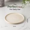 imageAmorArc Stoneware Dinner Plates Set of 4 105 Inch Reactive Matte Glaze Ceramic Plates Set Modern Dinnerware Dish set for Kitchen Microwave Dishwasher Safe Scratch ResistantMatte Ivory