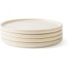 imageAmorArc Stoneware Dinner Plates Set of 4 105 Inch Reactive Matte Glaze Ceramic Plates Set Modern Dinnerware Dish set for Kitchen Microwave Dishwasher Safe Scratch ResistantMatte Ivory