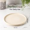 imageAmorArc Stoneware Dinner Plates Set of 4 105 Inch Reactive Matte Glaze Ceramic Plates Set Modern Dinnerware Dish set for Kitchen Microwave Dishwasher Safe Scratch ResistantMatte Ivory
