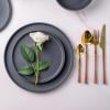 imageAmorArc Stoneware Dinner Plates Set of 4 105 Inch Reactive Matte Glaze Ceramic Plates Set Modern Dinnerware Dish set for Kitchen Microwave Dishwasher Safe Scratch ResistantCharcoal Gray