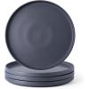Charcoal Gray