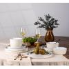 image:imageAmorArc Ceramic Dinnerware Sets for 4 12 Pieces Handpainted Plates and Bowls Set with Rustic Terracotta Underside Scratch Resistant Stoneware Dishes Set Dishwasher amp Microwave SafeCream